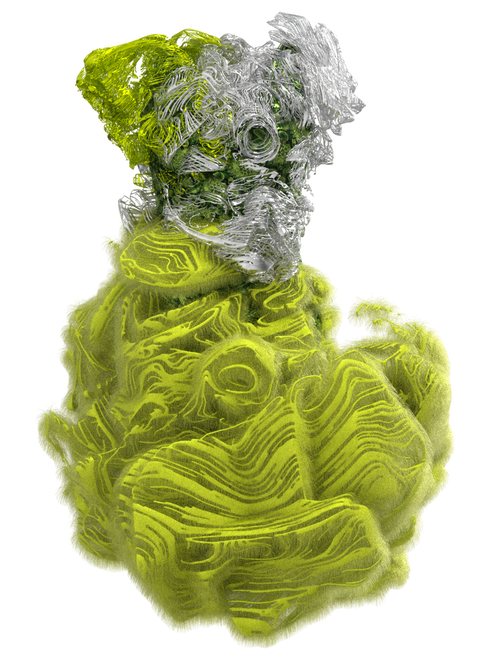 CYCLOTELLA