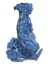 FRAGILARIA