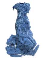 FRAGILARIA
