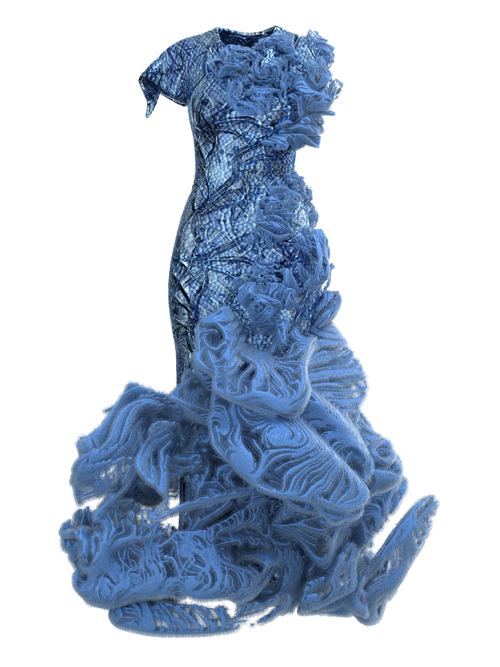 FRAGILARIA