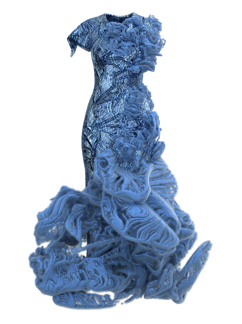FRAGILARIA