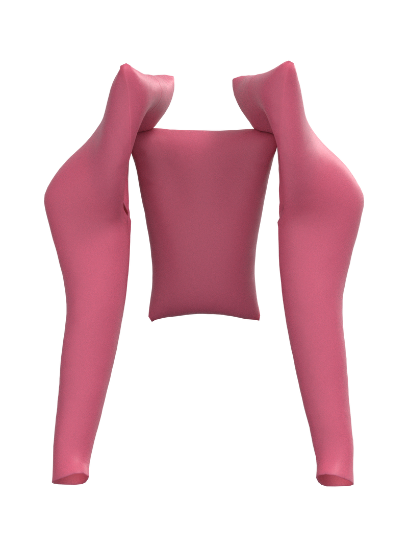 Pink top aniconic