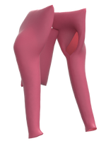 Pink top aniconic