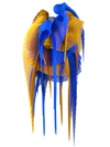 Pleated wings yellow/blue