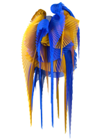 Pleated wings yellow/blue