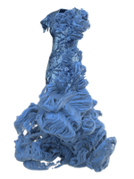 FRAGILARIA