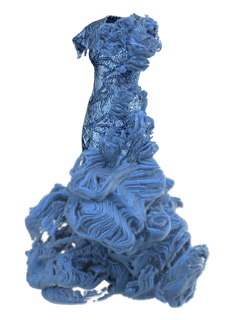 FRAGILARIA