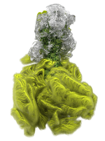 CYCLOTELLA