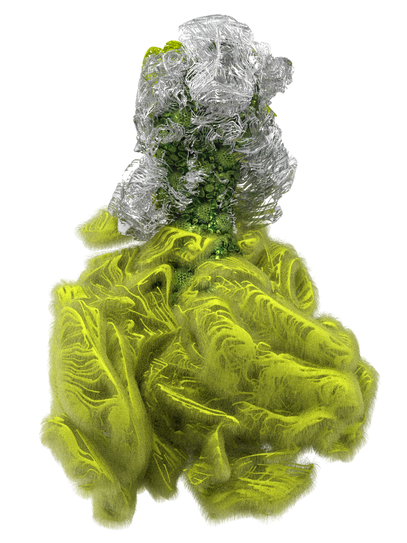 CYCLOTELLA