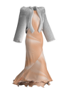 Frequency dress & fur coat