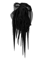 Pleated wings black