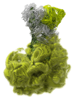 CYCLOTELLA