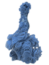 FRAGILARIA