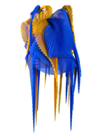 Pleated wings yellow/blue