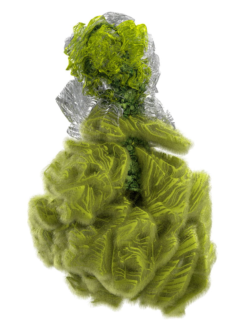 CYCLOTELLA