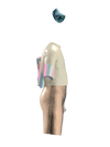 Set.Shirt.and.pants.KIDS.DESERT.ROSE