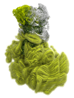 CYCLOTELLA