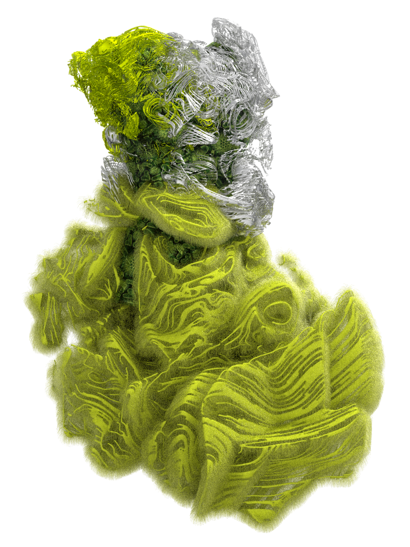 CYCLOTELLA