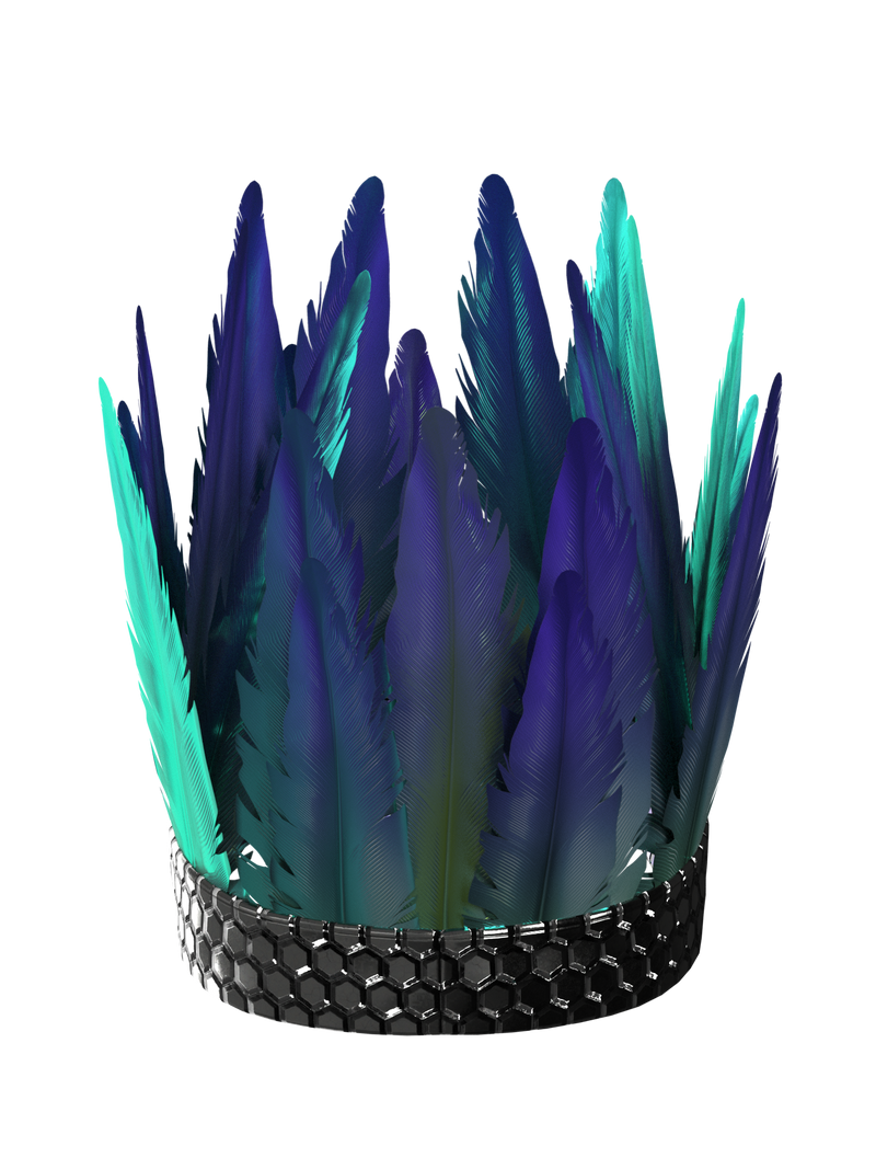 EXOTIC BIRD CROWN