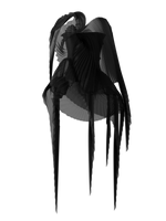 Pleated wings black