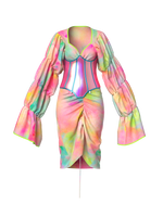 COLOR FIELD dress
