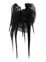 Pleated wings black