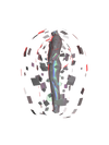 BIG BANG