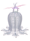 CORIMAE Meggie