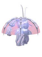 PAPYLIN Meggie