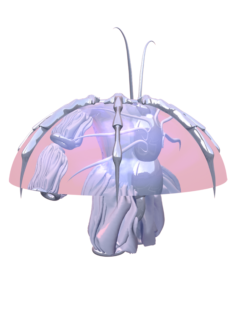 PAPYLIN Meggie