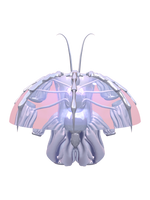 PAPYLIN Meggie