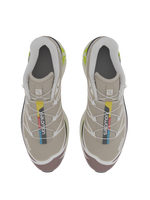 Salomon XT6 / 10 years Safari/Peppercorn/Acid Lime