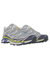 Salomon XT6 / 10 years Quarry/White/Evening Primrose