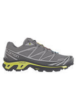 Salomon XT6 / 10 years Black/Magnet/Evening Primrose