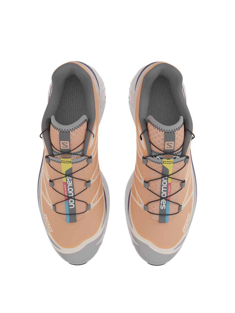 Salomon XT6 / 10 years Apricot Buff/Frost Gray/Velvet Morning