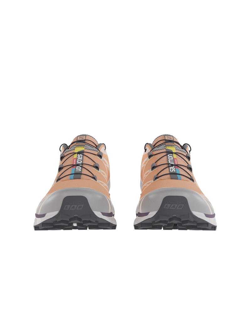 Salomon XT6 / 10 years Apricot Buff/Frost Gray/Velvet Morning