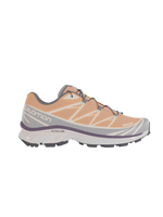 Salomon XT6 / 10 years Apricot Buff/Frost Gray/Velvet Morning