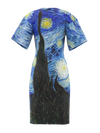 DRESS - The Starry Night