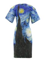 DRESS - The Starry Night