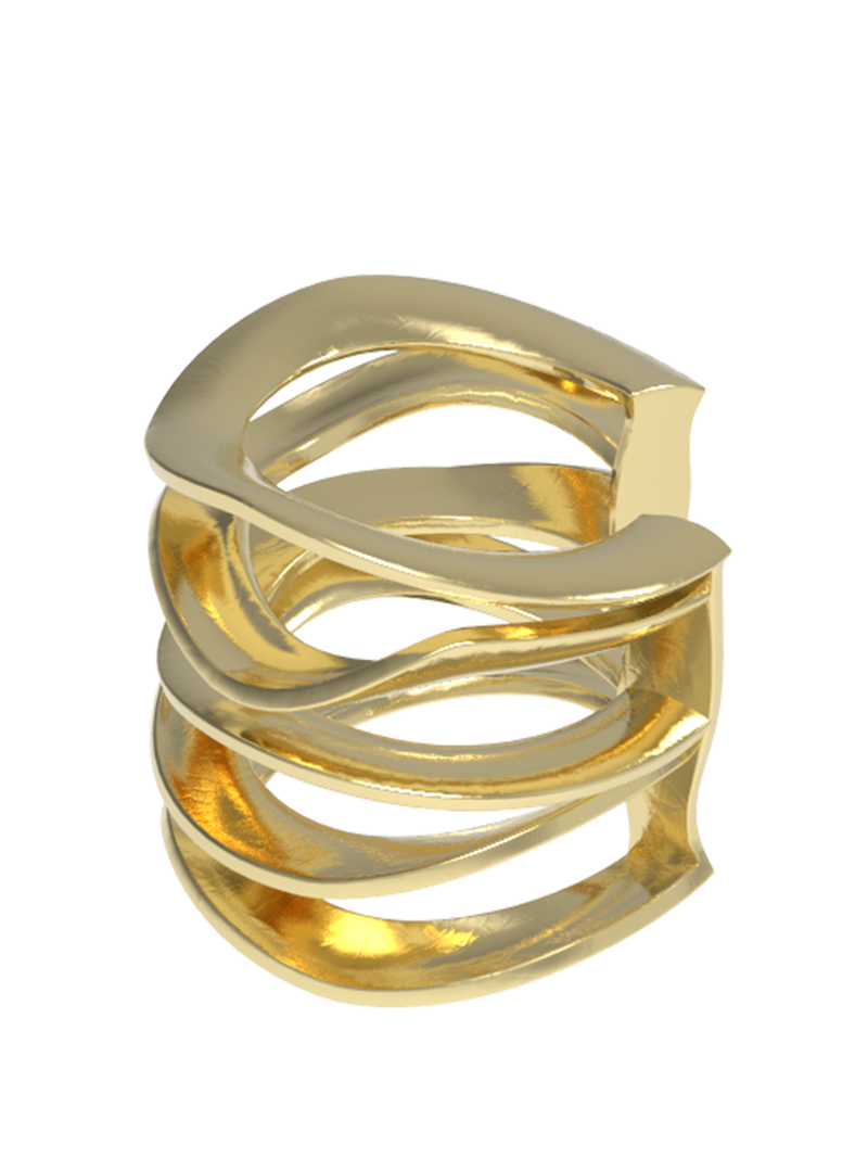 seacoast ring