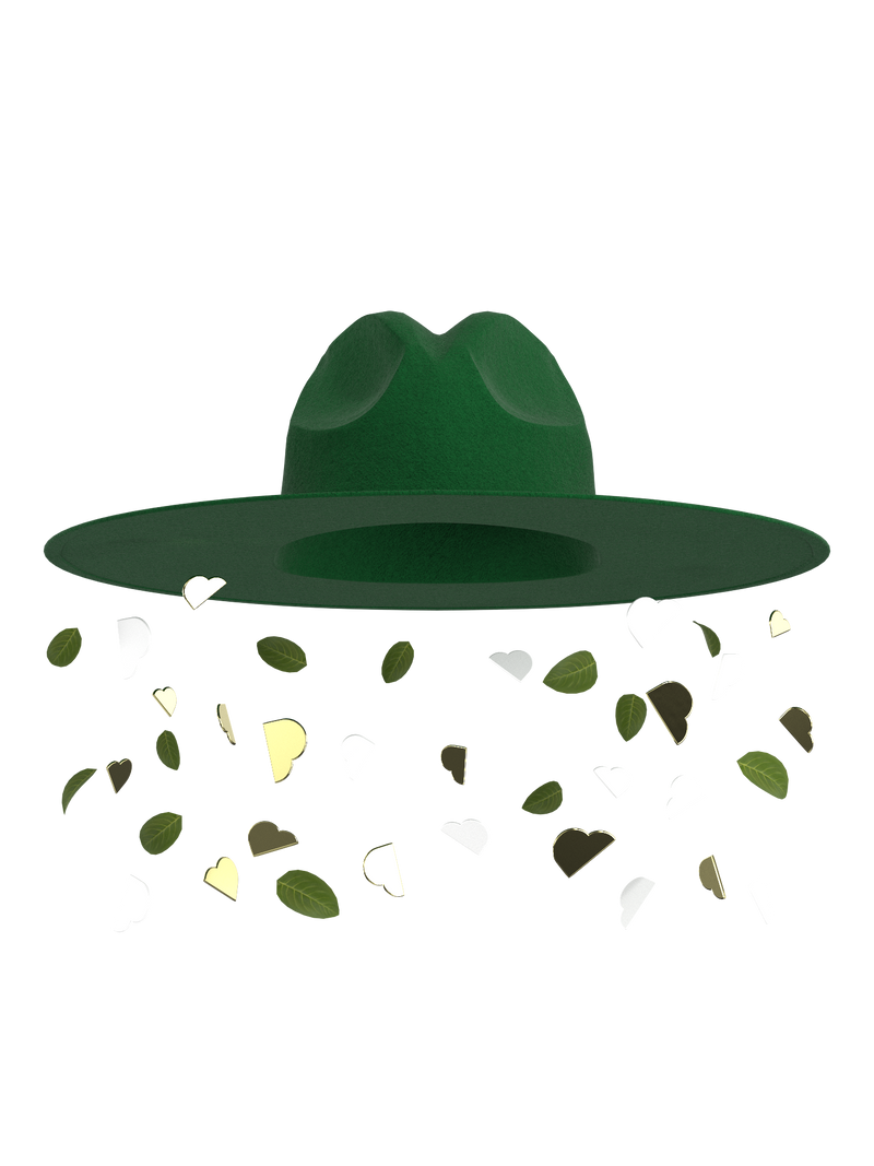Fedora hat