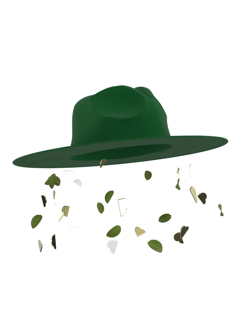 Fedora hat