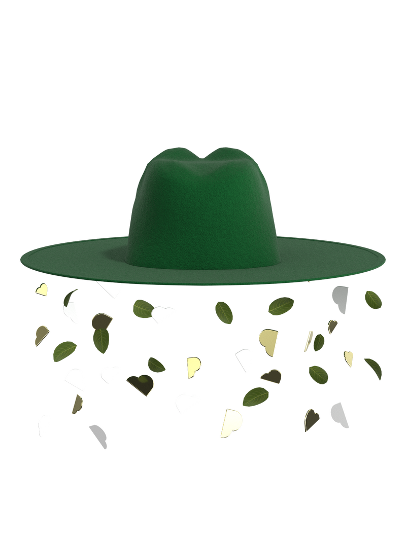 Fedora hat