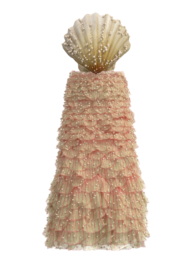 Seashells look