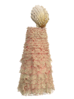Seashells look