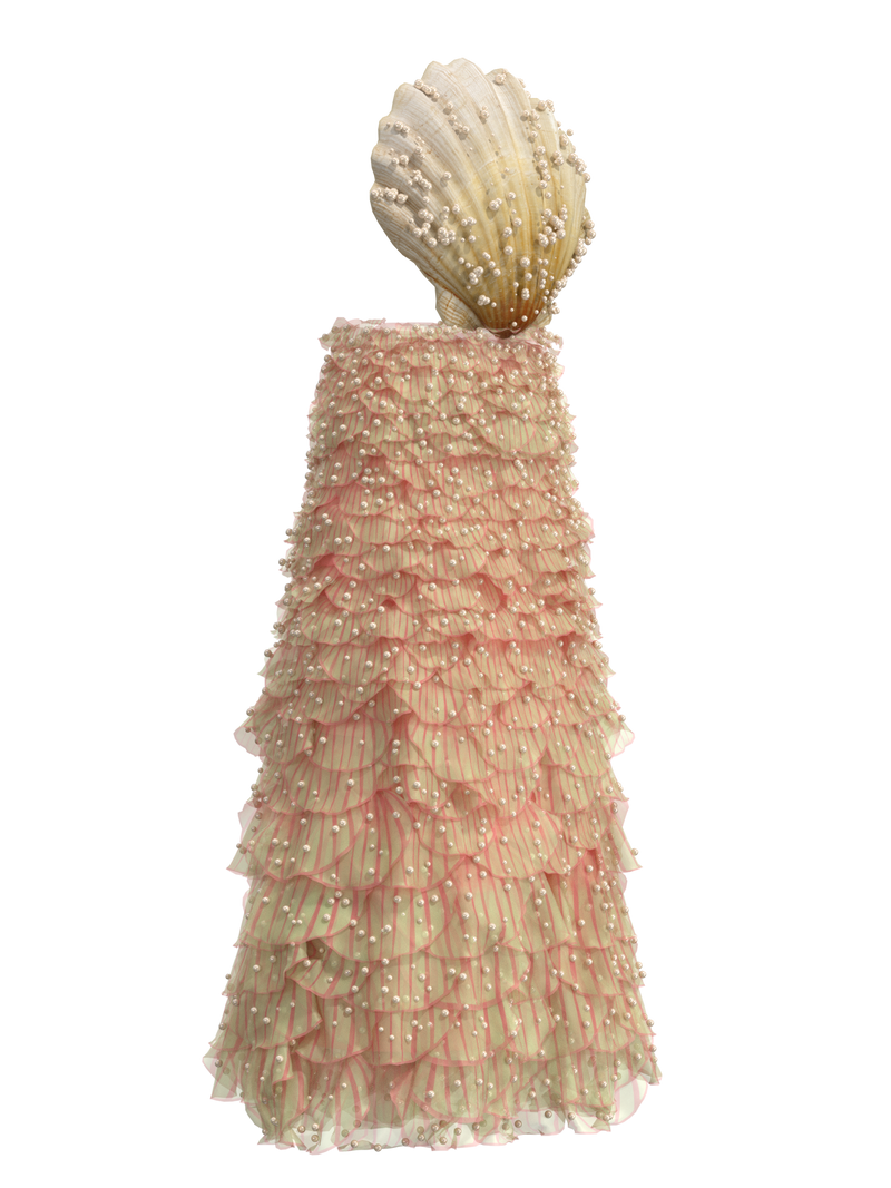 Seashells look