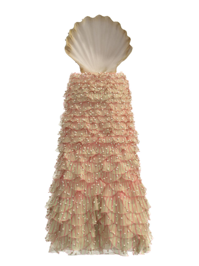 Seashells look