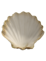 Seashells top