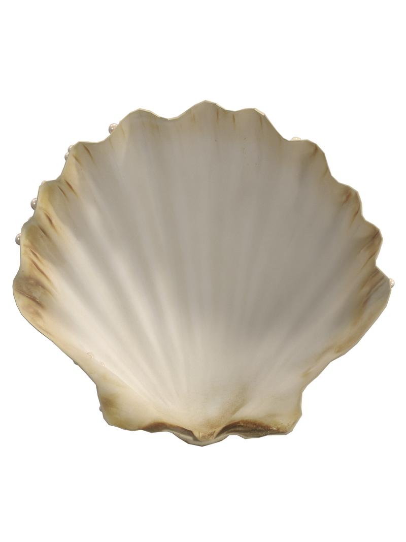 Seashells top