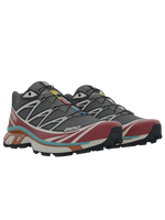 Salomon XT6 / 10 years Black/Red Dahlia/Meadowbrook